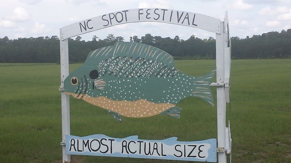 NC Spot Festival